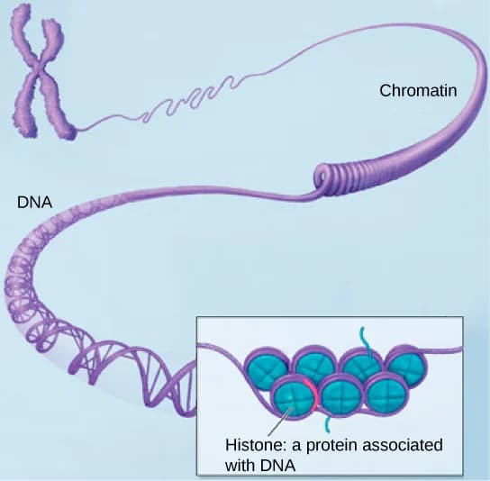 If you could change your genes, would you?