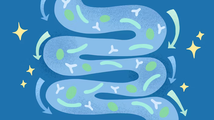 Postbiotics and Bacterial Lysates: The Immune Trainers You've Never Heard Of