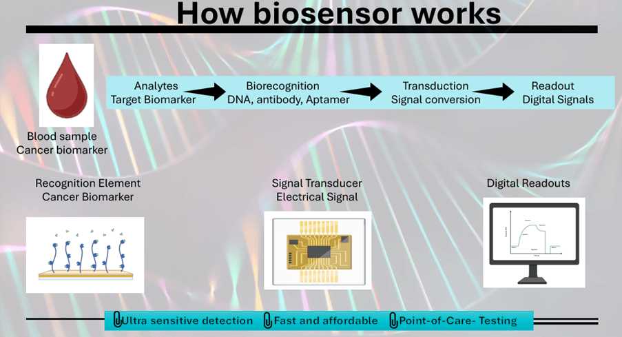 Figure: Schematic working of biosensor in cancer detection.