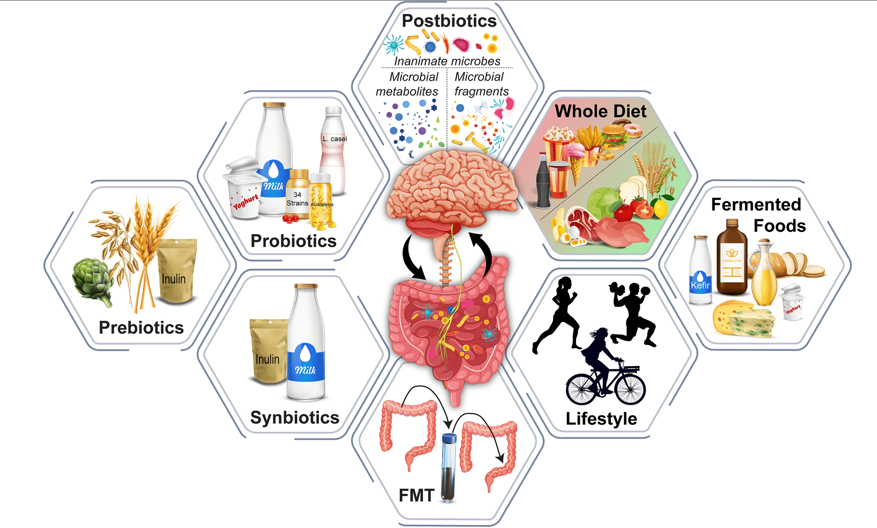 How Your Microbiome Shapes Mood, Memory, and Mental Health