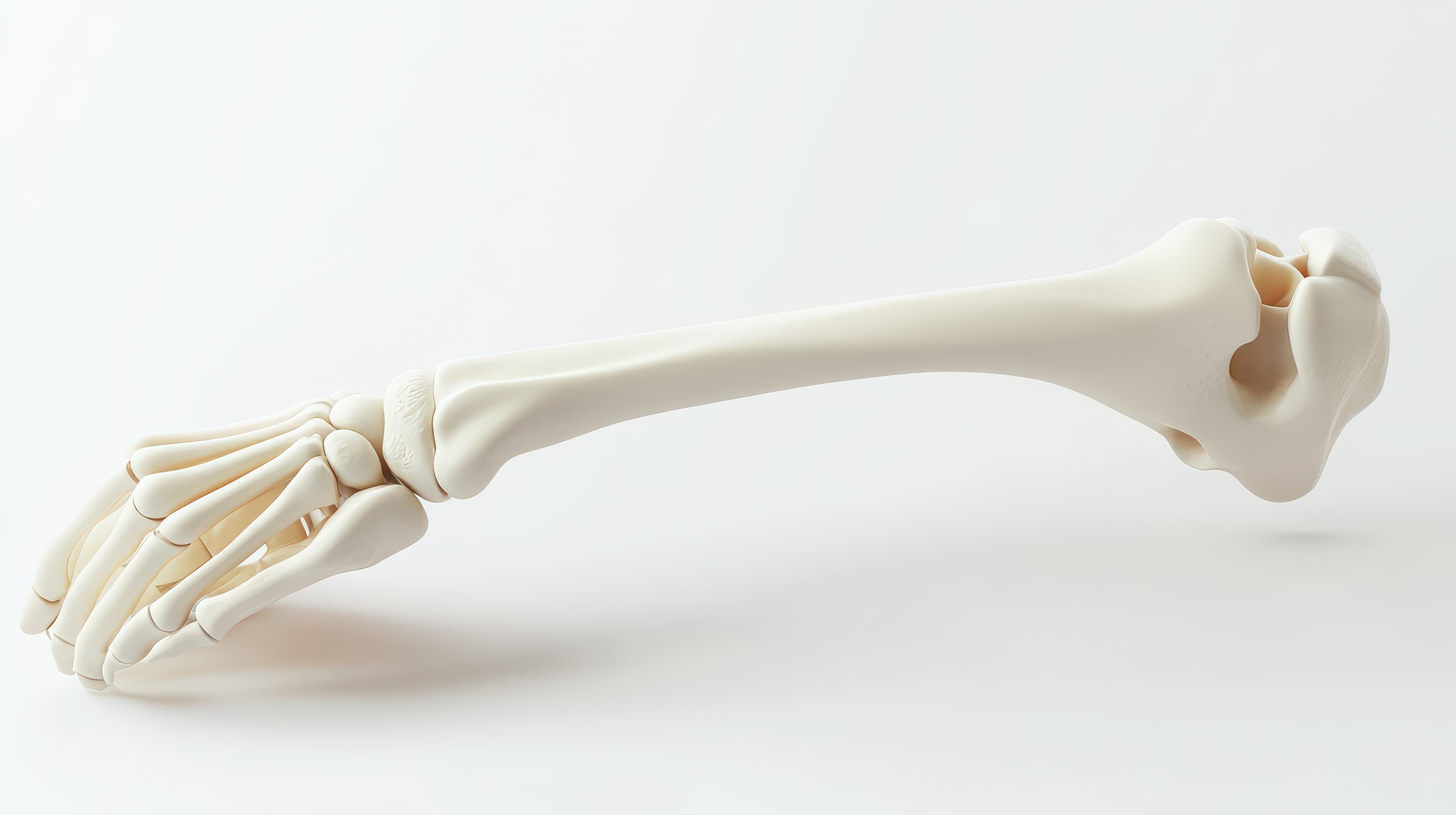 Artificial Bones