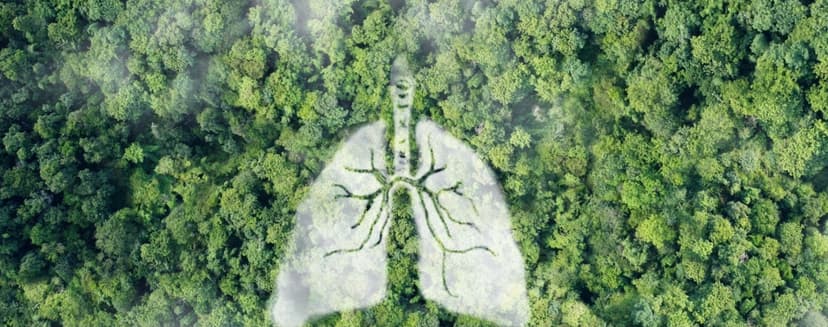 More than Lactose: Natural Polymers Revolutionizing Inhaled Drug Delivery