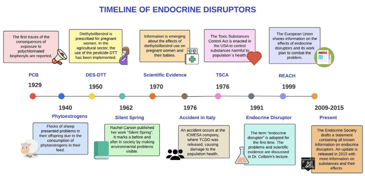 Environmental Endocrine Disruptors in Everyday Life: Hidden Chemical Influences on Human Health