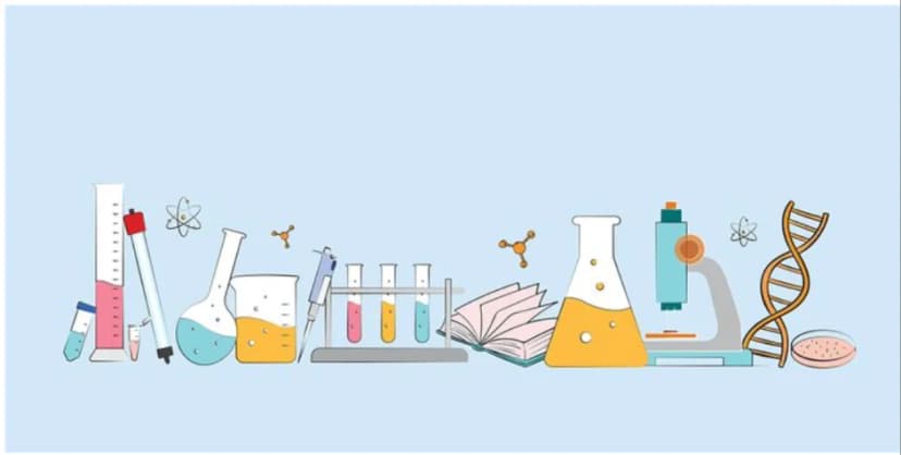 From Laboratories to Markets: The Economic Journey of Innovation